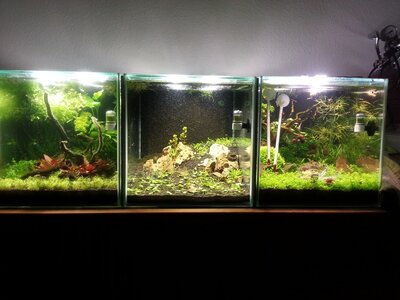 20140215_213536.jpg