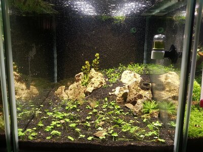 20140215_213429.jpg