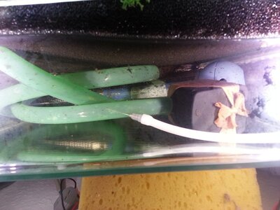 20140215_214834.jpg